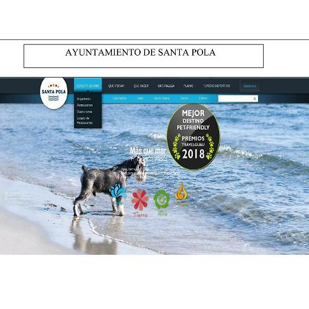 Playa 500M Y Centro Pueblo 600M, Piscina, 4 Clim, 2 Parkings Daire Santa Pola Dış mekan fotoğraf