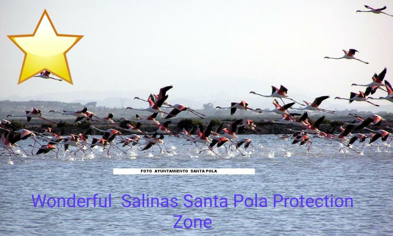 Playa 500M Y Centro Pueblo 600M, Piscina, 4 Clim, 2 Parkings Daire Santa Pola Dış mekan fotoğraf